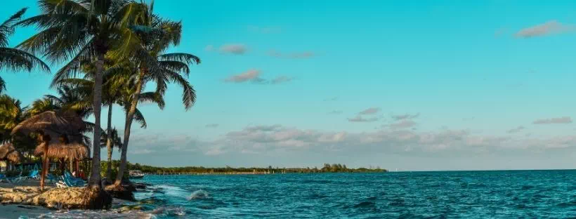 mer turquoise des Caraïbes avec une plage et des palmiers