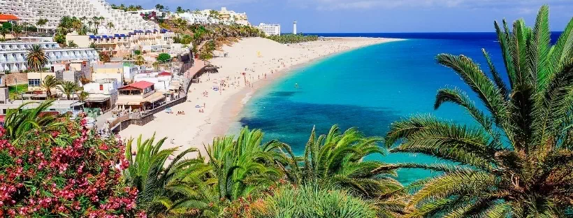 Bord de mer des Canaries, plage sable blanc, eau turquoise, palmiers