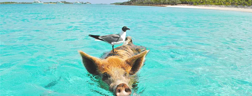 Nassau aux Bahamas