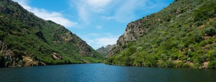 Montagne de part et d’autre du Douro, grand fleuve portugais