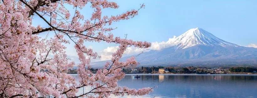 Vue sur le Mont Fuji avec cerisier rose juste devant