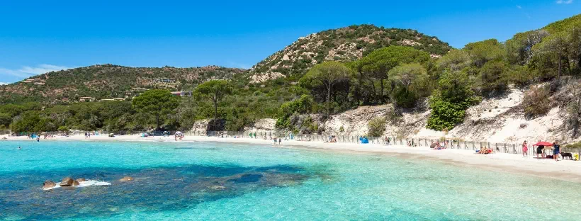 Vue sur une plage en Corse, avec végétation, sable blanc et eaux limpides