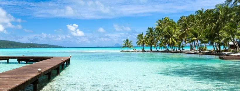 Photo d'une plage de sable blanc, eau transparente et palmiers