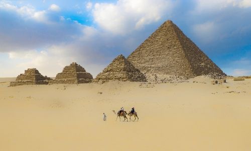 Chameaux se baladant devant les pyramides de Gizeh